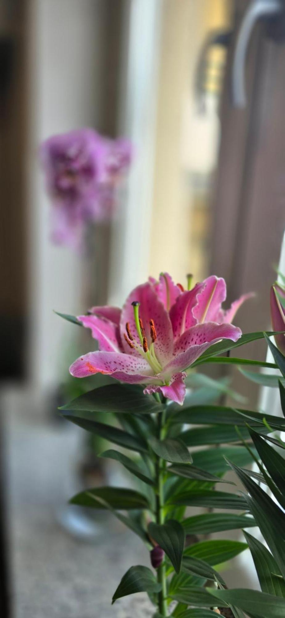Apartament Nieczynne *